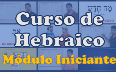 Módulo I (Iniciante)